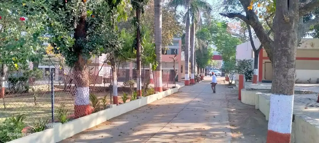 The tree-lined walkway through the school campus